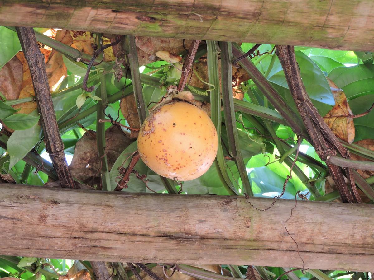 Pousada Casa Da Serra Hotel Sao Tome das Letras Ngoại thất bức ảnh